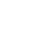 Ant icon